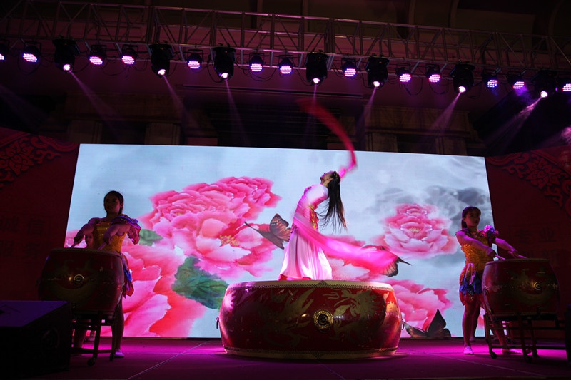 IM在线(中国)集团2016年会 